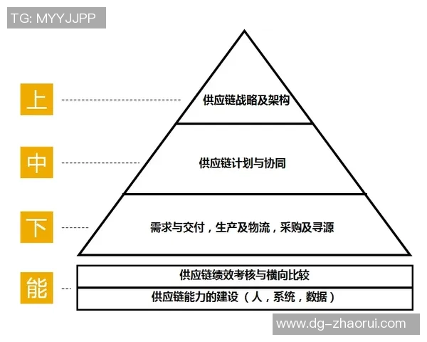重庆排球队团队协作的变革之路与热议排球的未来发展探讨